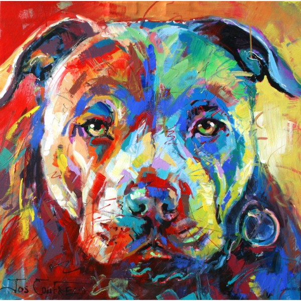Stafforshire Bull Terrier Dog